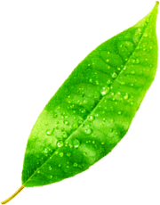 y-sag-orta